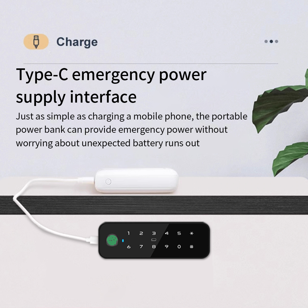 Tuya Bluetooth スマート木製キャビネット指紋ロ - Furniture Hardware Tools のレビューと価格